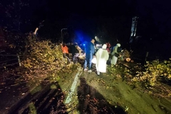 Nevrijeme kod Mostara oborilo stablo na cestu