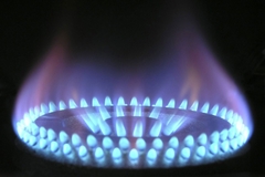 Vlada Srbije ograničila cijenu gasa