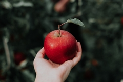 OVO JE DESERT IZ PRIRODE! Sadrži fruktozu koja je prirodni šećer, ali i vitamine, minerale, vlakna
