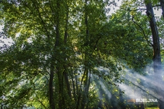 Ugodnija temperatura vazduha: U BiH sutra sunčano vrijeme uz malu do umjerenu oblačnost