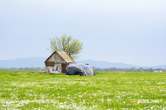 PRIPREMITE SE ZA VRUĆINU Sutra veoma toplo, do 35 stepeni Celzijusovih