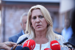 Cvijanović : Visoki predstavnici su napravili nered u BiH