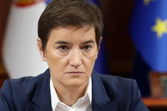 Brnabić: Uhapsiti Tepić zbog uznemiravanja javnosti ako nisu tačne njene tvrdnje