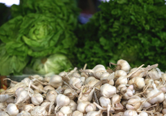 Ovu grešku svi prave: Bijeli luk je neizostavan dodatak mnogih jela, ali na ovo moramo paziti