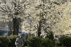 Danas uglavnom sunčano i vjetrovito, predveče kiša