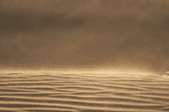 Pijesak iz Sahare koji dolazi sa kišom nema uticaj na zdravlje