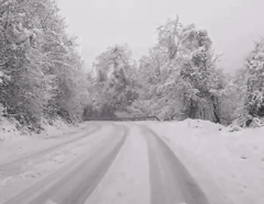 “Nisu povrijeđene, ali su u stanju blagog šoka” Pronađene dvije planinarke koje su se izgubile na Trebeviću