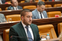 Drinić: PDP neće podržati EUFOR-ovu agoniju hapšenja zvaničnika Srpske