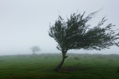 IZDATO UPOZORENJE ZA CIJELU BIH Udari vjetra i do 90 km/h i grmljavina