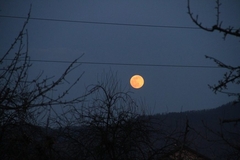 Istraživanja potvrđuju: Nesanica na vrhuncu tokom punog Mjeseca