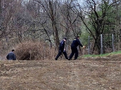 "Ne možemo govoriti da je Danka Ilić ubijena"