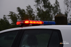 Uhapšeni dileri , "trgovali" travom!