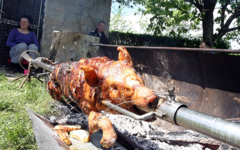 Htjeli da ISPEKU SVINJE U PODRUMU u Njemačkoj, komšije zvale policiju