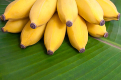 Kod japanske banana dijete potrebno je da se držite JEDNOG pravila