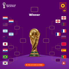 Engleska zakazala derbi sa Francuskom! Danas  "VATRENI"