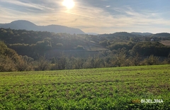 Septembar u svojim bojama: U narednih 15 dana u BiH lijepo i sunčano vrijeme