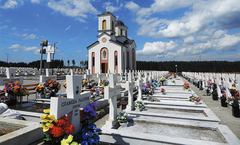 Mali Zejtinlik - priča o jednom ratu i životu posle rata