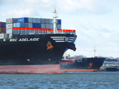 ITALIJA Na brodu sa 450 kg kokaina  pronađen Srbin prerezanog grkljana