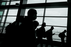 SZO protiv kovid pasoša