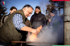 DOBRO SMO PROŠLI,OVDJE NE KOLJU JOŠ /VIDEO/Mađarski premijer Orban na svinjokolju u izbornoj godini