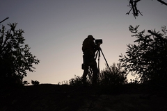 Četiri ukrajinska drona uništena iznad Brjanske oblasti u Rusiji