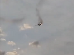 Srušio se ruski vojni avion  (VIDEO) 