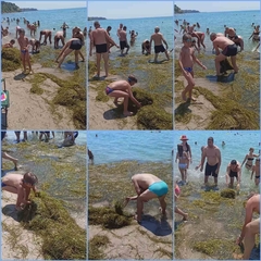 "PARADISE" TURISTI  A NE "PARADAJZ",IMA LI KO BOLJI? /VIDEO/Srpski i makedonski turisti zajednički čiste more i obalu Egeja