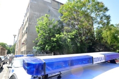 MUP Srbije: Kod muškarca pronađni aligator, majmun, pitoni, boa, varani