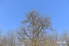 Kakvo nas vrijeme očekuje do ponedjeljka?