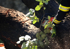 Policajcima PRIJETIO MOTORNOM PILOM, pa ih pokušao pregaziti traktorom: Podignuta optužnica protiv Bojana Lazića iz Broda