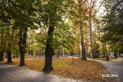 Naredna četiri dana MIHOLJSKO LJETO: Temperatura iznad 20 stepeni