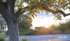 TEMPERATURA DO 16 STEPENI U BiH sutra promjenljivo oblačno i toplo vrijeme