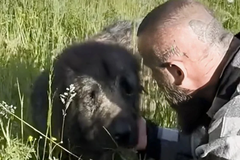 Dobri ljudi iz BiH spasili šarplaninca koji je gladan i preplašen lutao ulicama (VIDEO)