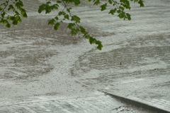 Obilne padavine prouzrokovale poplave i Istočnoj Ilidži i Trnovu