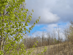 Promjenljivo oblačno i sunčano