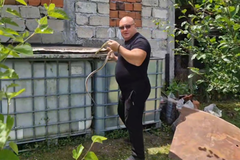 Hvatač zmija Vladica ima pune ruke posla, jednu "spakovao" i u džep