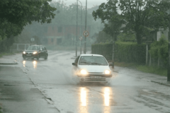 OBORENA STABLA LEŽE NA PUTU U prekidu saobraćaj prema Trapistima i Bistrici