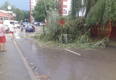 NEVRIJEME U MILIĆIMA Jak vjetar i kiša rušili stabla, iščupali dimnjak i uništili nekoliko automobila