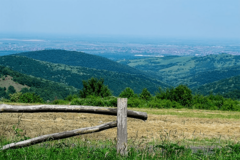 Troje maloljetnika evakuisano sa Fruške Gore