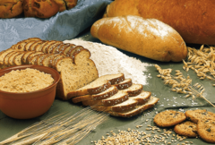 Manje pšenice neće podići cijene hljeba i brašna