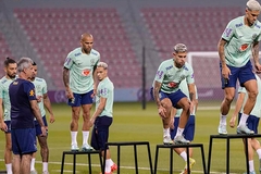 Treba li sumnjati u poštenje Brazilaca, ko izlazi na megdan Kamerunu