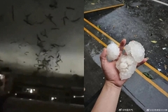 Zastrašujući prizori: Tornado harao kineskim megagradom, pratila ga tuča veličine jajeta (VIDEO)