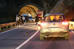 Vozač "pasata" poginuo u sudaru s kamionom