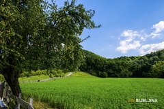 Ljeto u svojim bojama: Sutra sunčano, poslije podne mjestimično kiša