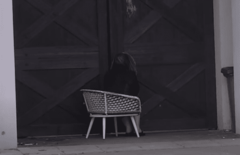 Dok svi spavaju: Miljana Kulić lupala kamenjem po kapiji