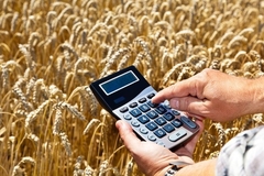 Cijene pšenice snažno porasle nakon ruskog napada, prijeti li svijetu glad?