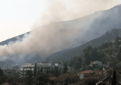 Gašenje otežava vjetar: Vatrogasci se bore sa požarom u Trebinju