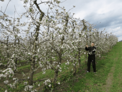 POVOLJNIJA PROGNOZA Vremenske prilike pogoduju radovima na otvorenom