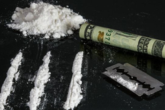 Poljska policija zaplijenila 440 kilograma kokaina u vrijednosti do 43,6 miliona dolara