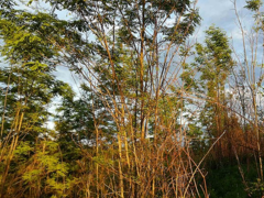 Sunčano i toplo za ovo doba godine